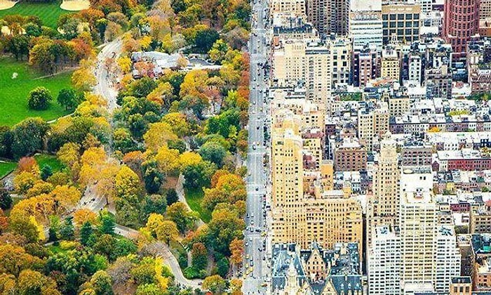 Увидев эти снимки, вы не поверите, что это части одного фото