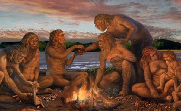 1. Какой континент считается колыбелью человечества?