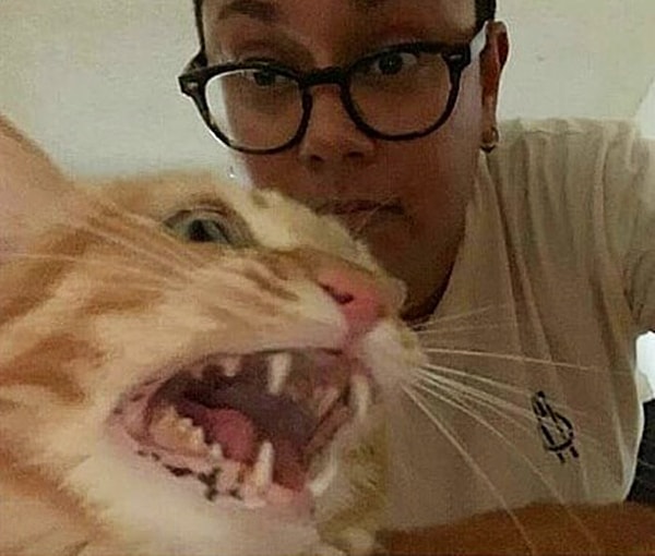 7. Не самый доброжелательный котэ