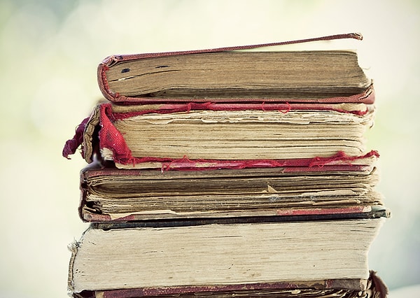 5. Какое значение у забытого русского слова "ендовочник"?