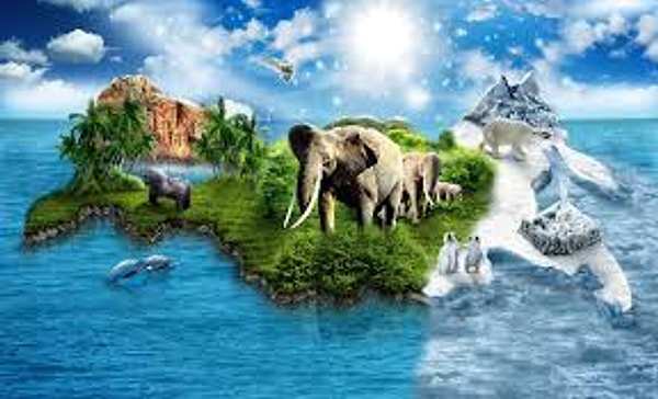 3. Это редкое животное обитает только в России, Прибалтике, Белоруси и на Украине. О каком животном идет речь?