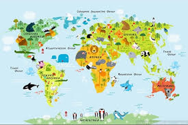 7. В каких странах кроме Африки можно встрерить льва?