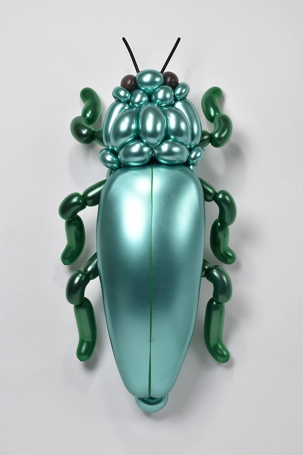 2. Блестящий жук