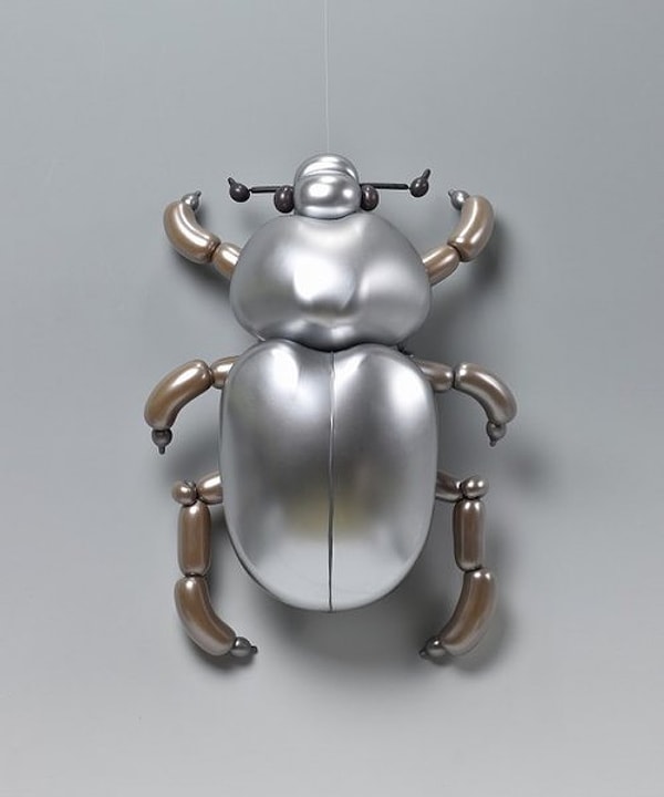 9. Добрый-добрый жук