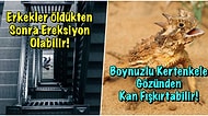 Etkilemek İstediğiniz İnsanla Muhabbet Ederken Araya Sıkıştırdığınız Zaman Havanıza Hava Katacak Kısa ve Eğlenceli 17 Bilgi