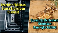 Etkilemek İstediğiniz İnsanla Muhabbet Ederken Araya Sıkıştırdığınız Zaman Havanıza Hava Katacak Kısa ve Eğlenceli 17 Bilgi