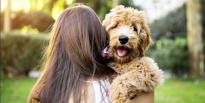 Тест:  Любителям животных, собак и знатокам людей легко будет пройти этот тест