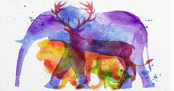 Итак, какое животное бросилось вам в глаза?