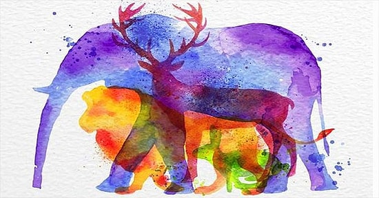 Тест: То, какое животное вы увидели первым, поведает о вашей самой сильной стороне