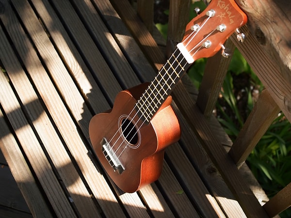 5. Какой из перечисленных инструментов имеет больше струн?