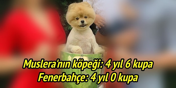 Yüzünüzde Gülümseme Bırakabilecek Sporla İlgili Yapılan Haftanın En Komik 15 Paylaşımı