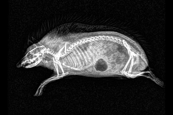7. Ваши мысли?