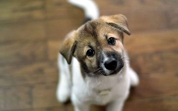 10. "Тот, кто говорит, что счастье не купишь, никогда не покупал..."      У. Лэмптон