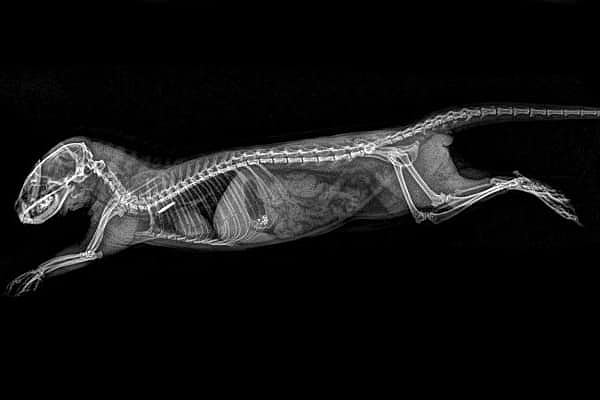 13. Что думаете?