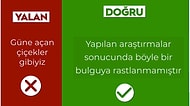 Esenler Belediye Başkanının Paylaştığı Tablo Yeni Bir Mizah Akımına Dönüştü