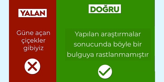 Esenler Belediye Başkanının Paylaştığı Tablo Yeni Bir Mizah Akımına Dönüştü