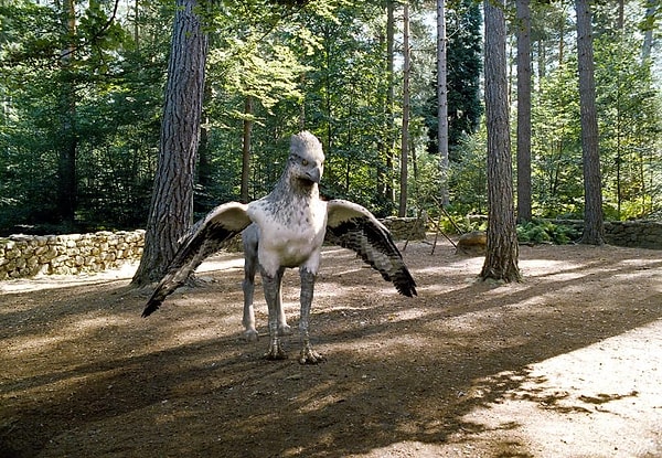 2. А птичка откуда?