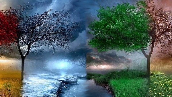 5. Какое время года ваше самое любимое?