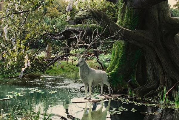 8. А волшебный олень?