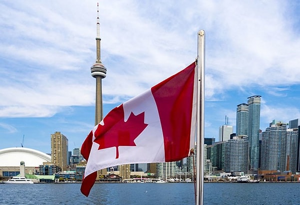 4. Какой из этих сортов иначе называют сливой канадской?