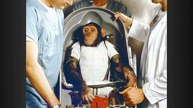 1959 - ABD tarafından uzaya gönderilen iki maymun sağ olarak Dünya'ya döndü.