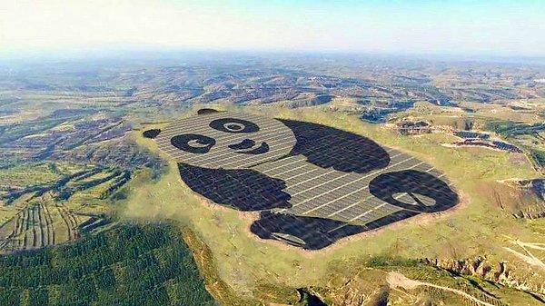 16. Çin, gençlerin yenilenebilir enerjiye olan ilgisini artırabilmek için panda şeklindeki güneş enerjisi tarlalarına 3 milyar dolar harcıyor.