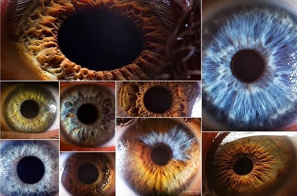 4. А теперь цвет глаз