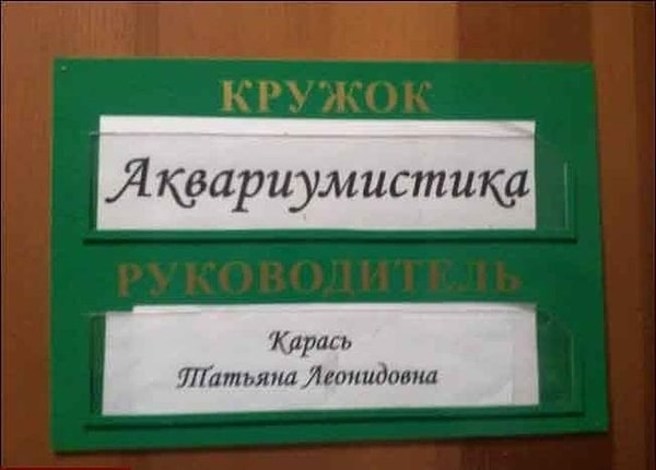 13. Когда тобой руководит Карась...