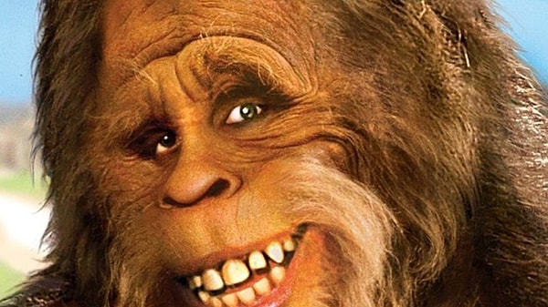 21. Как вы относитесь к густым волосам на теле мужчины?