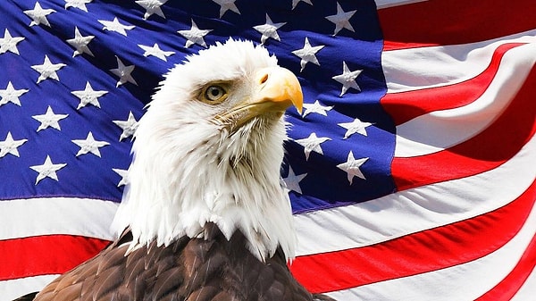 10. Назовите количество белых и красных полос на флаге США.