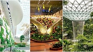İçinde Orman ve Şelale Var: Yedinci Kez Dünyanın En İyi Havaalanı Ödülünü Alan Singapur Changi Havalimanı
