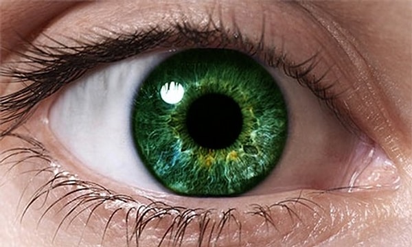 У вас зелёные глаза!