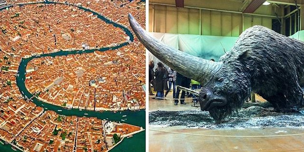 Hayatınız Boyunca Belki de Hiç Karşılaşmayacağınız 17 İlginç Görüntü