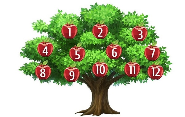 Итак, какое яблоко под каким номером привлекло ваше внимание?