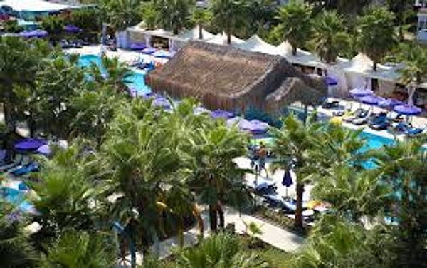 8. Сиам - это современный(ая)...