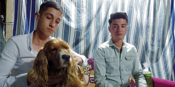 Otomobilin Çarptığı Köpeğini Kalp Masajı ile Hayata Döndürdü!