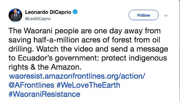 "Waorani'lerin topraklarını petrol aramasından kurtarmasına 1 gün kaldı. Bu videoyu izleyin ve Ekvator hükumetine şu mesajı gönderin: Kabile haklarını ve Amazonu koruyun!"