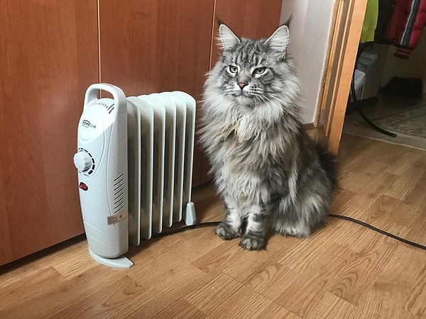 8. Ну вы поняли