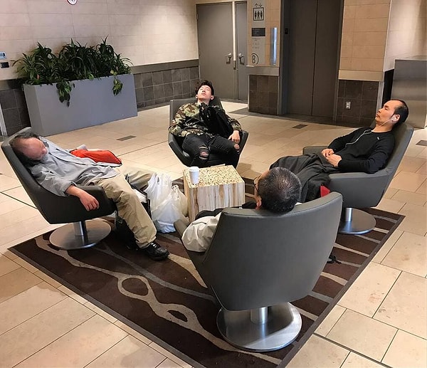 4. Эти могут даже сыграть в картишки