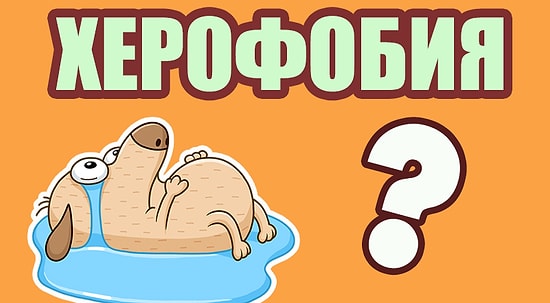 10 занятных фактов обо всем на свете, которые вмиг прогонят скуку