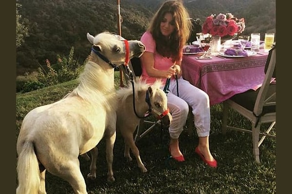 3. Детская мечта о пони может наконец-то осуществиться! Итак, какому из них суждено стать вашим?