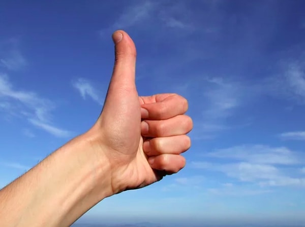 11. В нос невозможно засунуть большой палец.