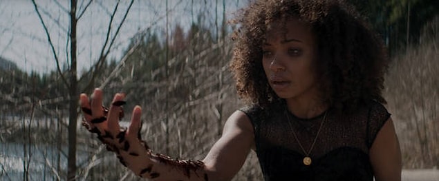 Bir izleyici ise filmin; Black Swan, Get Out ve The Human Centipede'in karışımı olduğunu iddia etti.