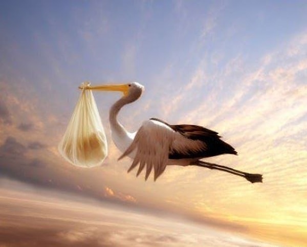 2. В каком месяце вы родились?