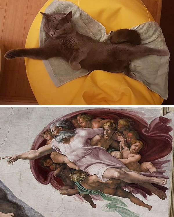 12. Сколько грациозности даже во сне =)