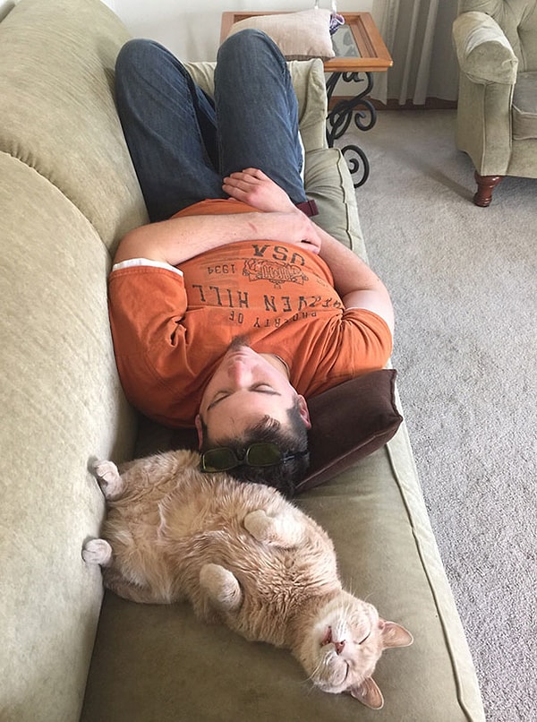 15. После ночного загула с хозяином ;)