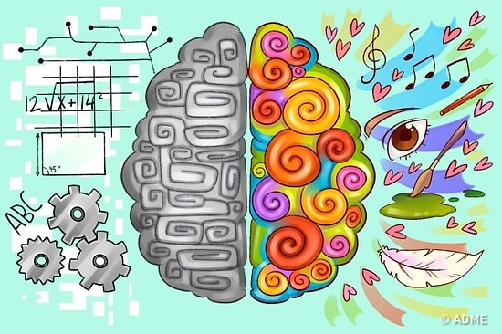 Цветовой тест, который определит, какое полушарие мозга у вас доминирует