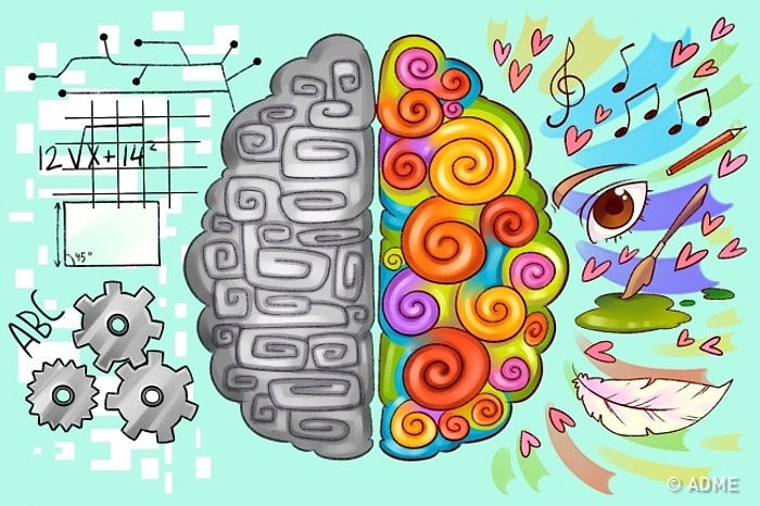 Цветовой тест, который определит, какое полушарие мозга у вас доминирует