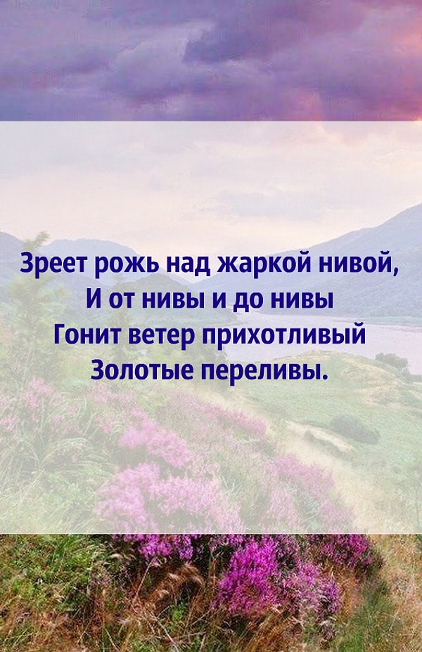 8. И последний стих: