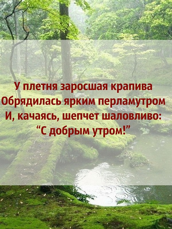 2. Кто написал этот стих?